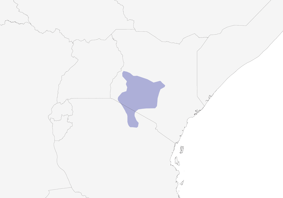 Tessitore vedovo di Jackson, Distribuzione 1