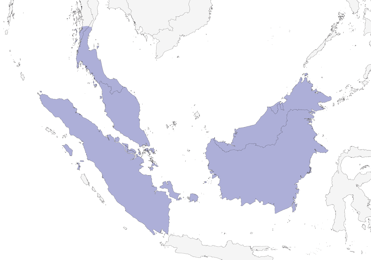 Tilopo jambú, Distribución 1