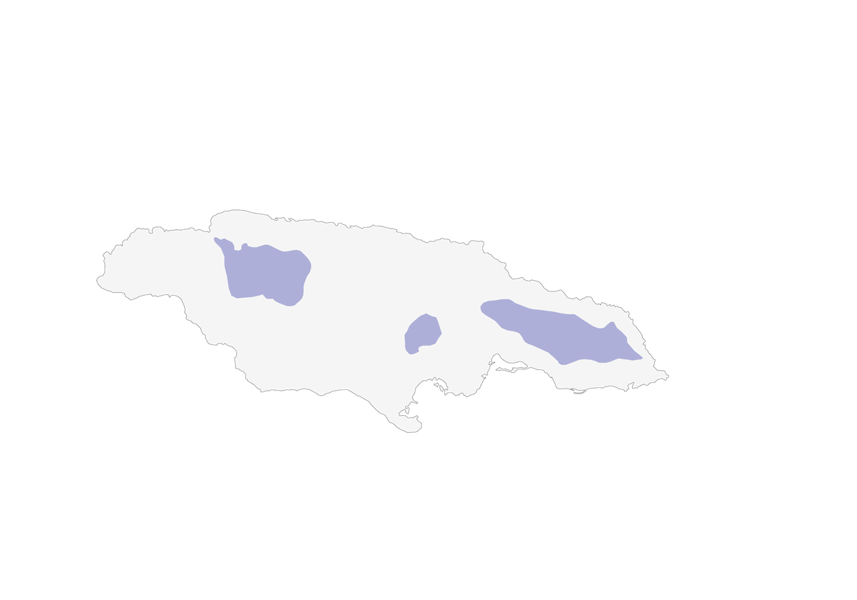 Negrito de Jamaica, Distribución 1