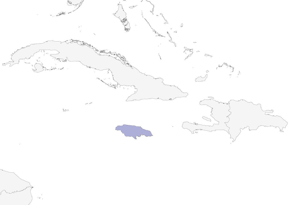 Coulicou de Jamaïque, Distribution 1