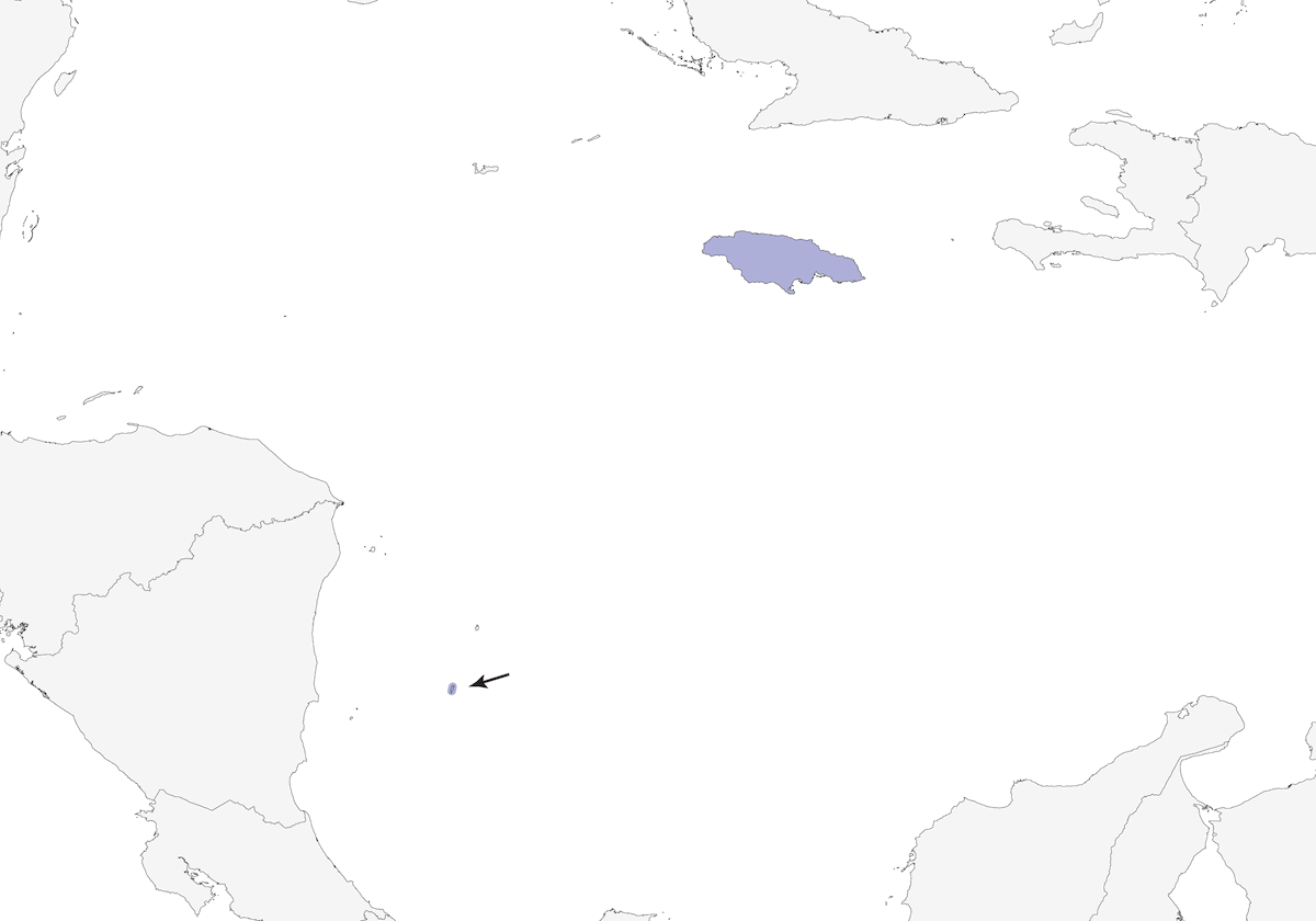 Oriolo della Giamaica, Distribuzione 1