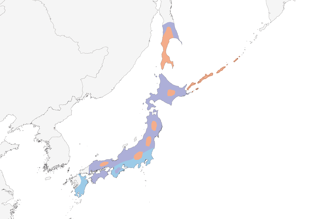 Accenteur du Japon, Distribution 1