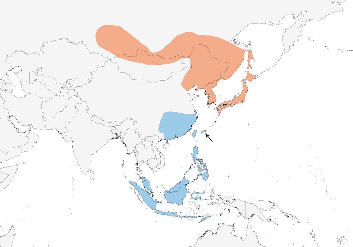 Japanischer Sperber, Verbreitung 1
