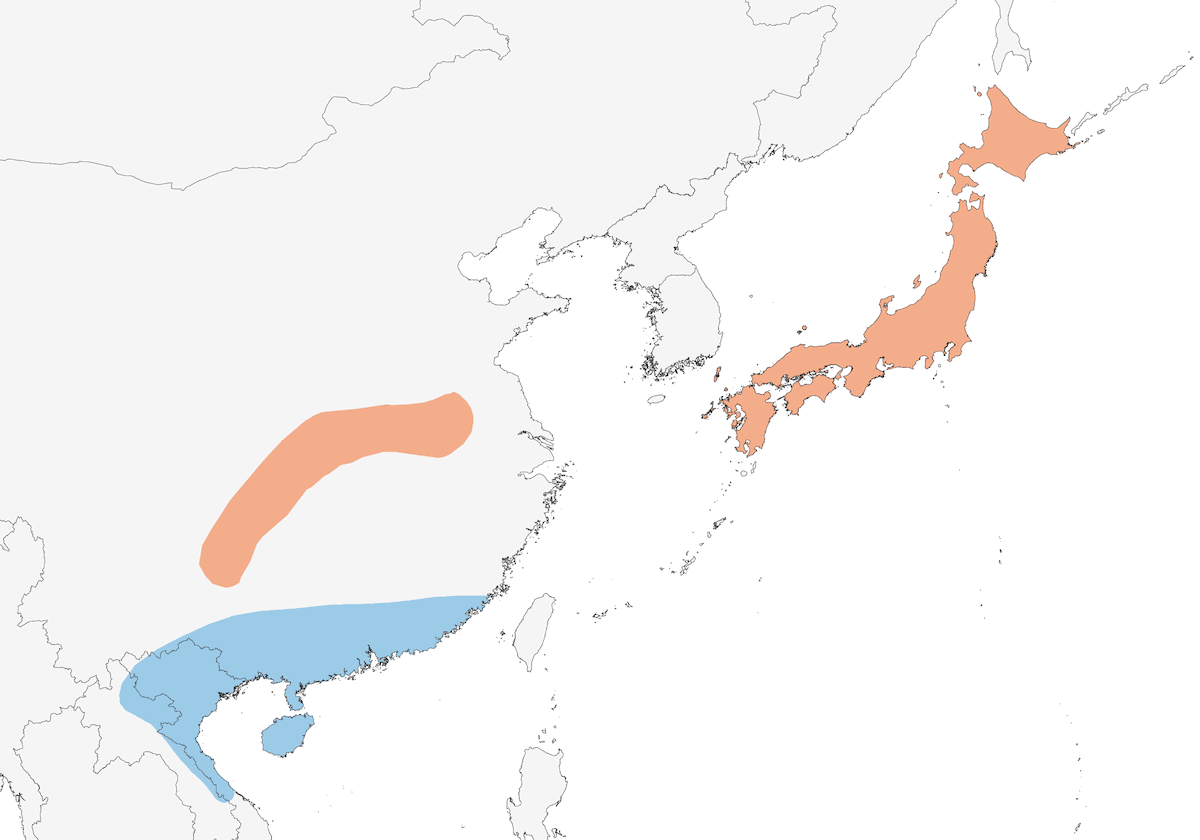Japanese Thrush, Distribution 1