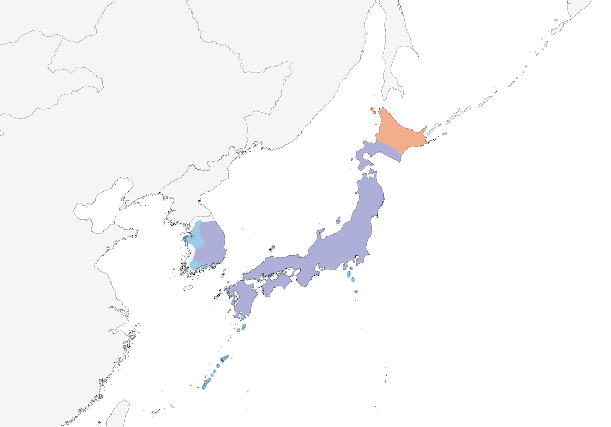 Japanese Wagtail, Distribution 1
