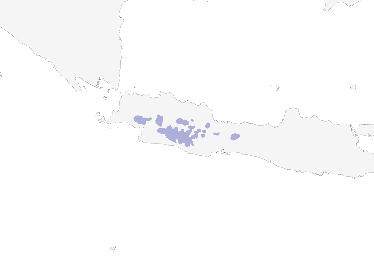 Java-Cochoa, Verbreitung 1