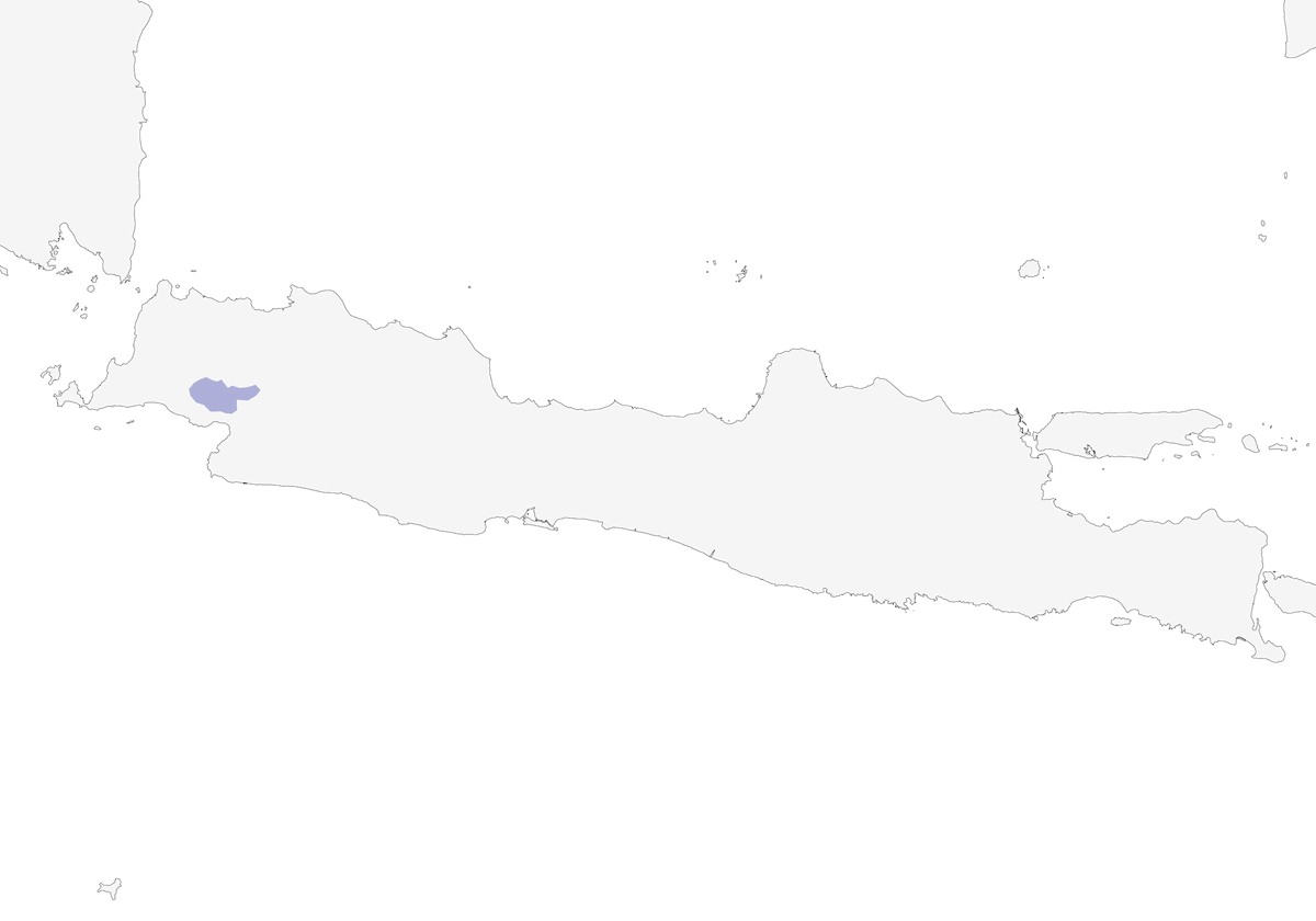 Trogon de Java, Distribution 1