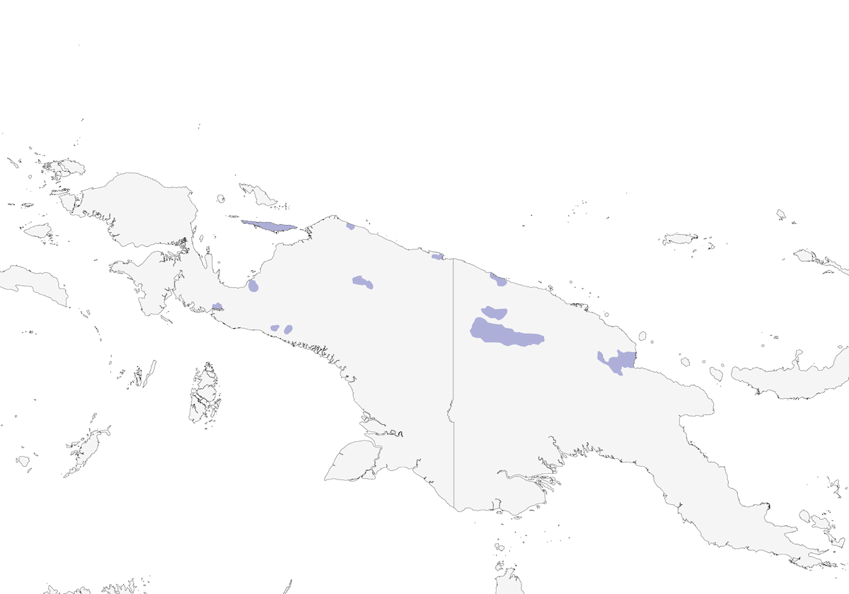 Jobi Manucode, Distribution 1
