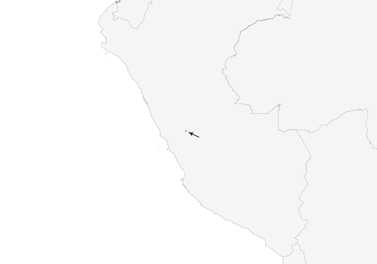 Zambullidor de Junín, Distribución 1