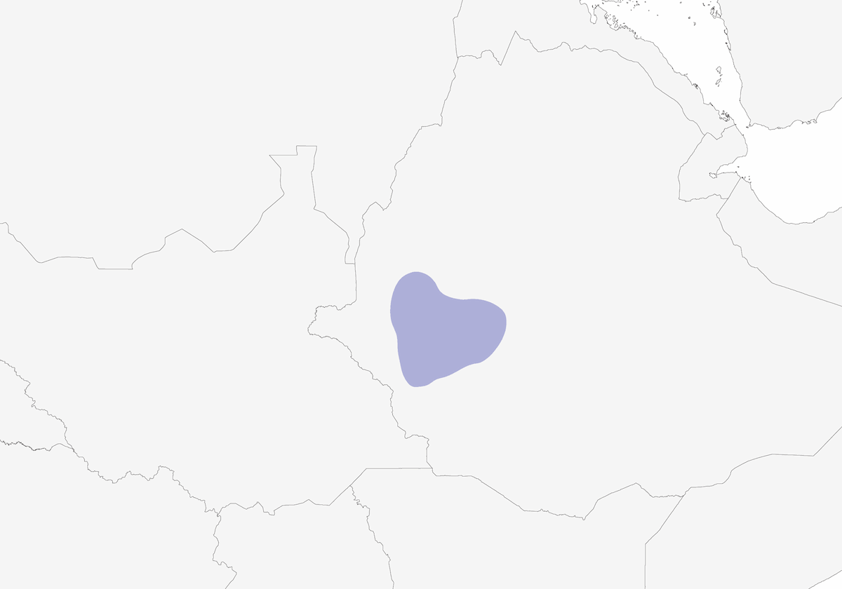 Kafa White-eye, Distribution 1