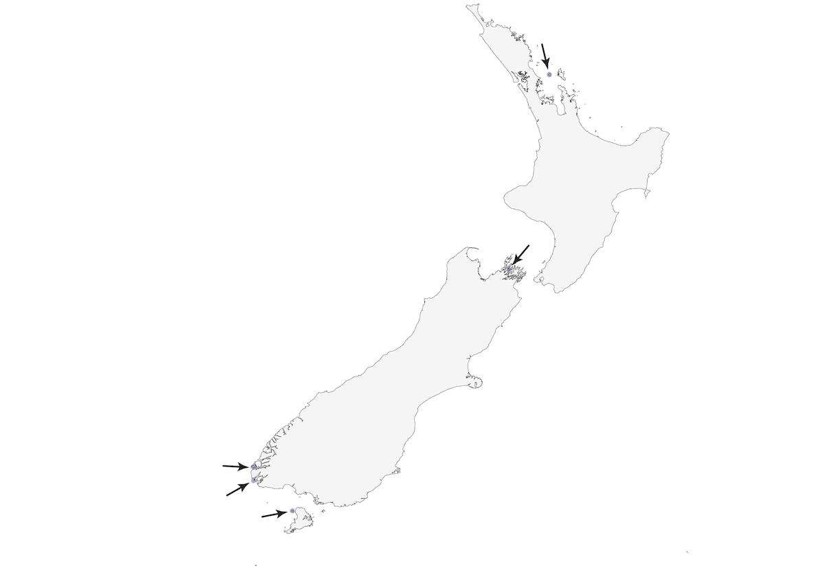 Kakapo, Distribution 1