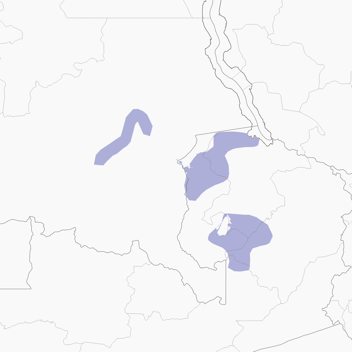 Tessitore mascherato del Katanga, Distribuzione 1
