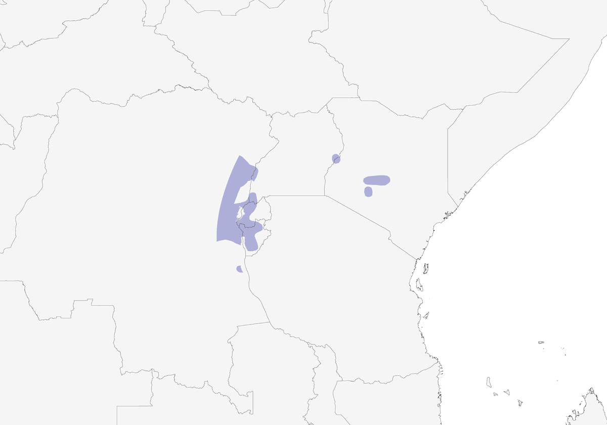 Estrilda de Kandt, Distribución 1