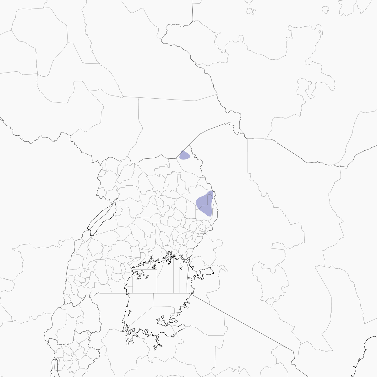 Apale di Karamoja, Distribuzione 1
