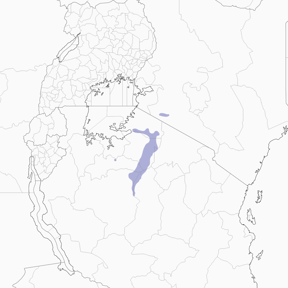Apalis masái, Distribución 1