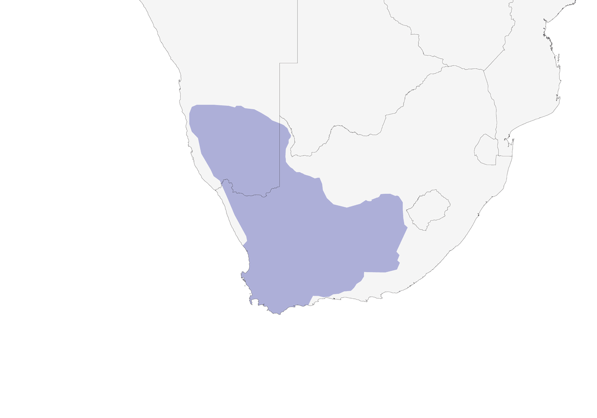Avutarda del Karoo, Distribución 1