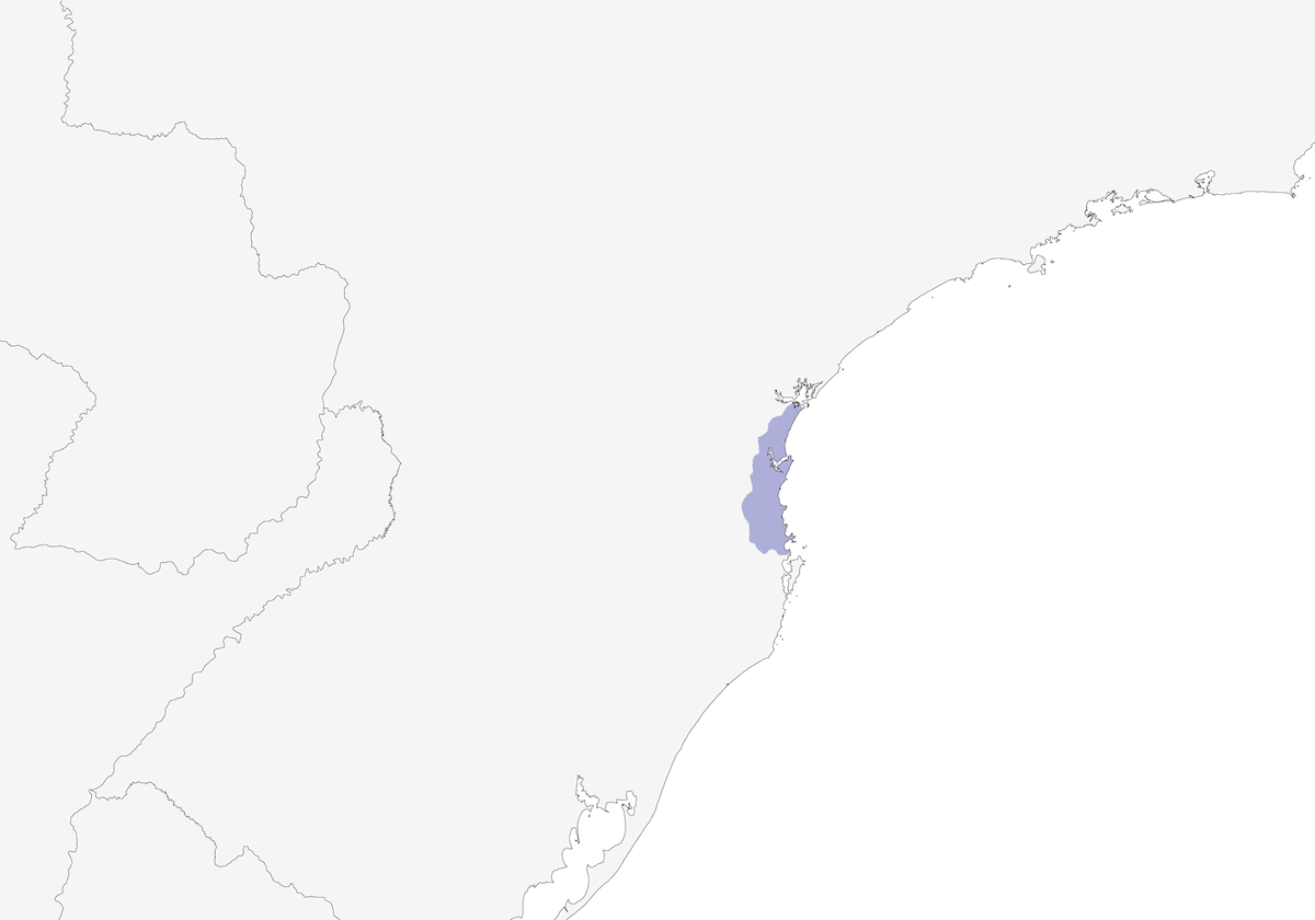 Tyranneau de Kaempfer, Distribution 1
