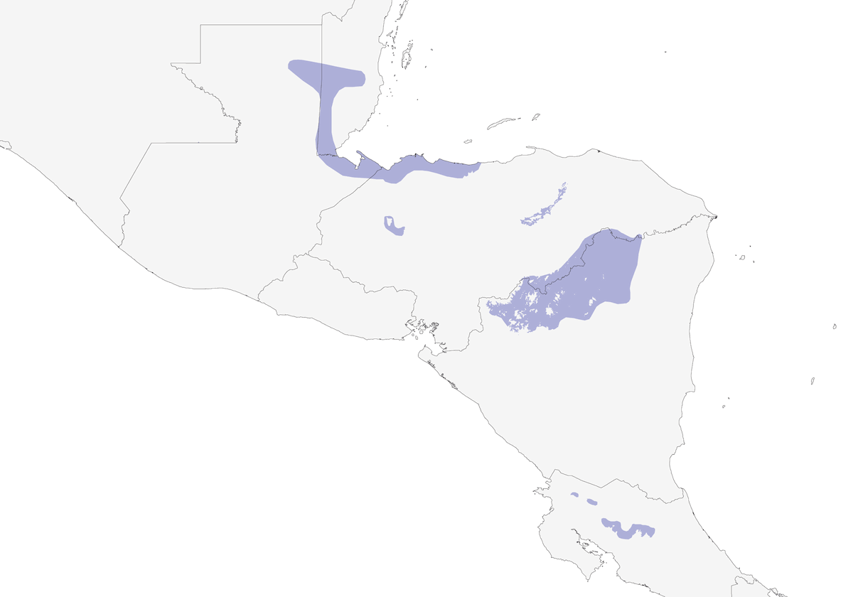 Motmot caréné, Distribution 1