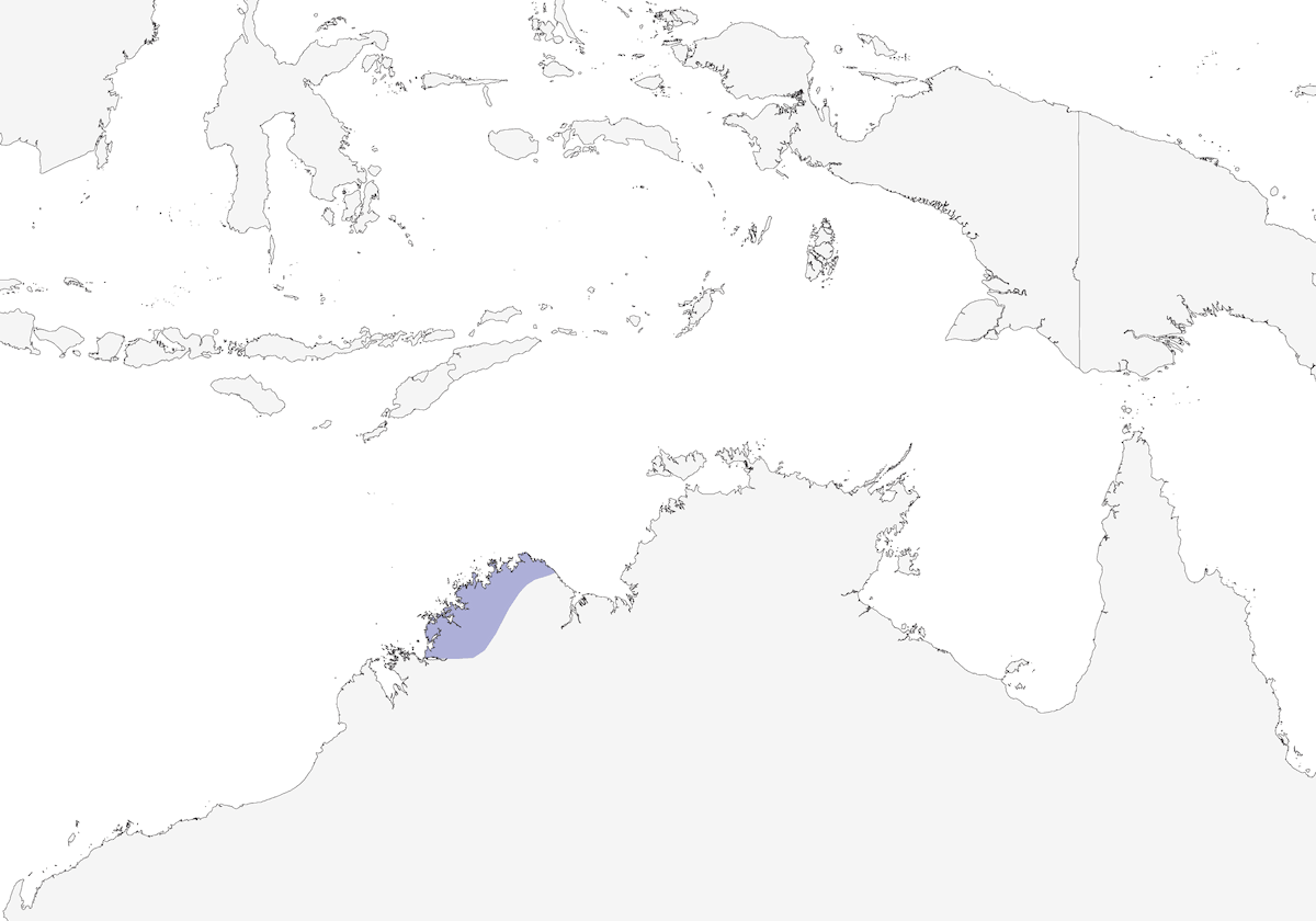 Kimberley Honeyeater, Distribution 1