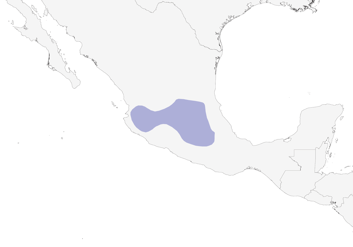 Aztec Rail, Distribution 1