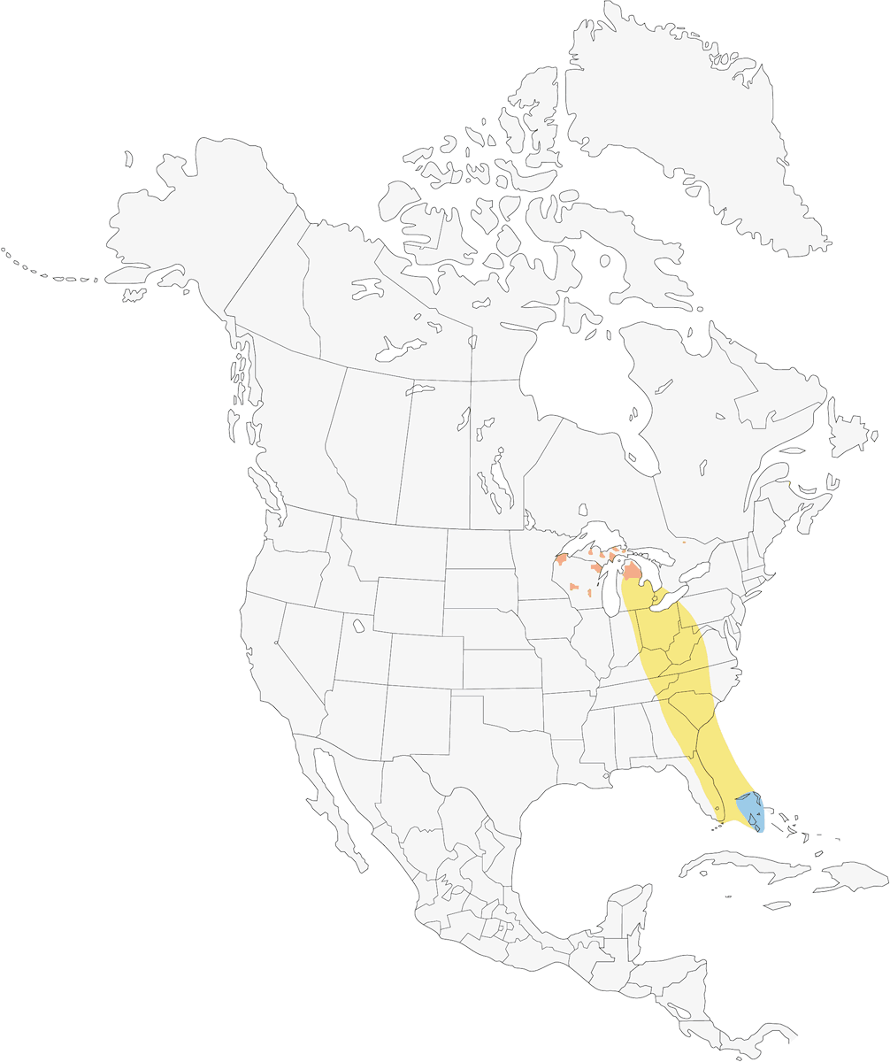 Reinita de Kirtland, Distribución 1