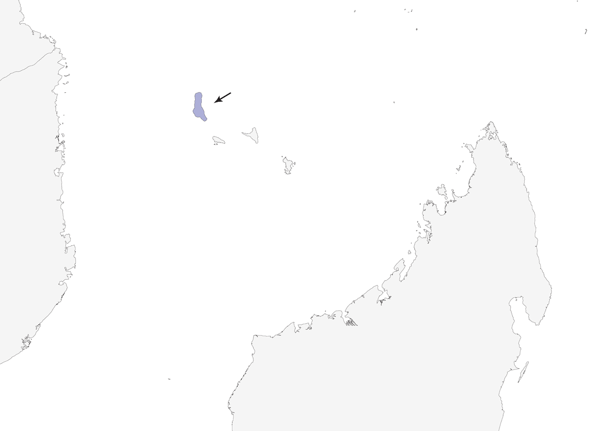 Zostérops de Kirk, Distribution 1
