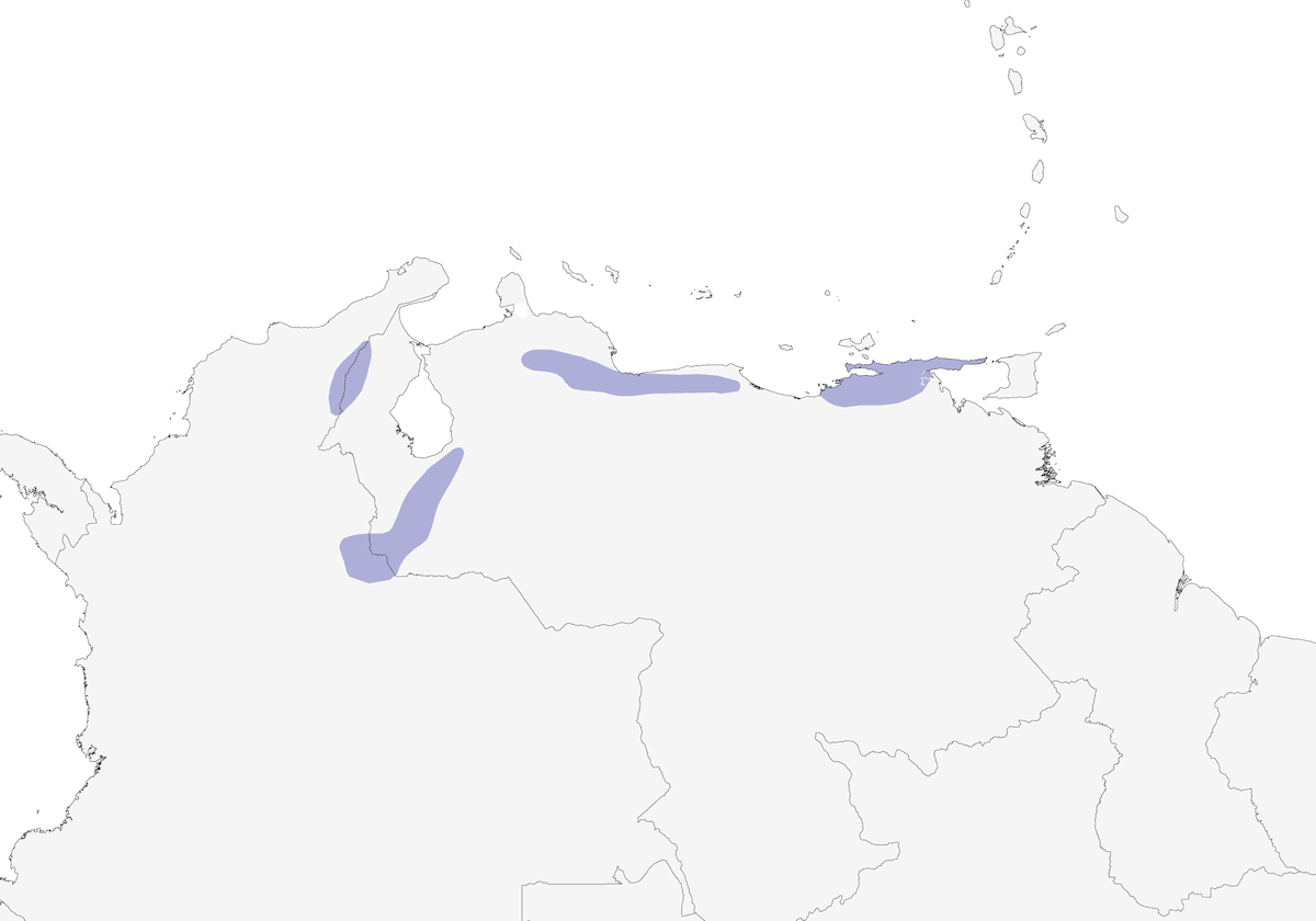 Klages's Antbird, Distribution 1