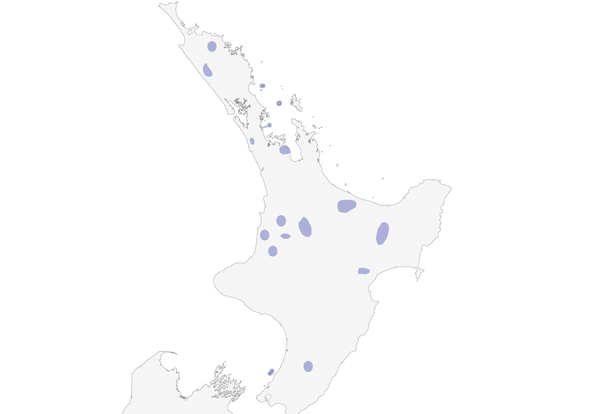 Kokako dell'Isola del Nord, Distribuzione 1