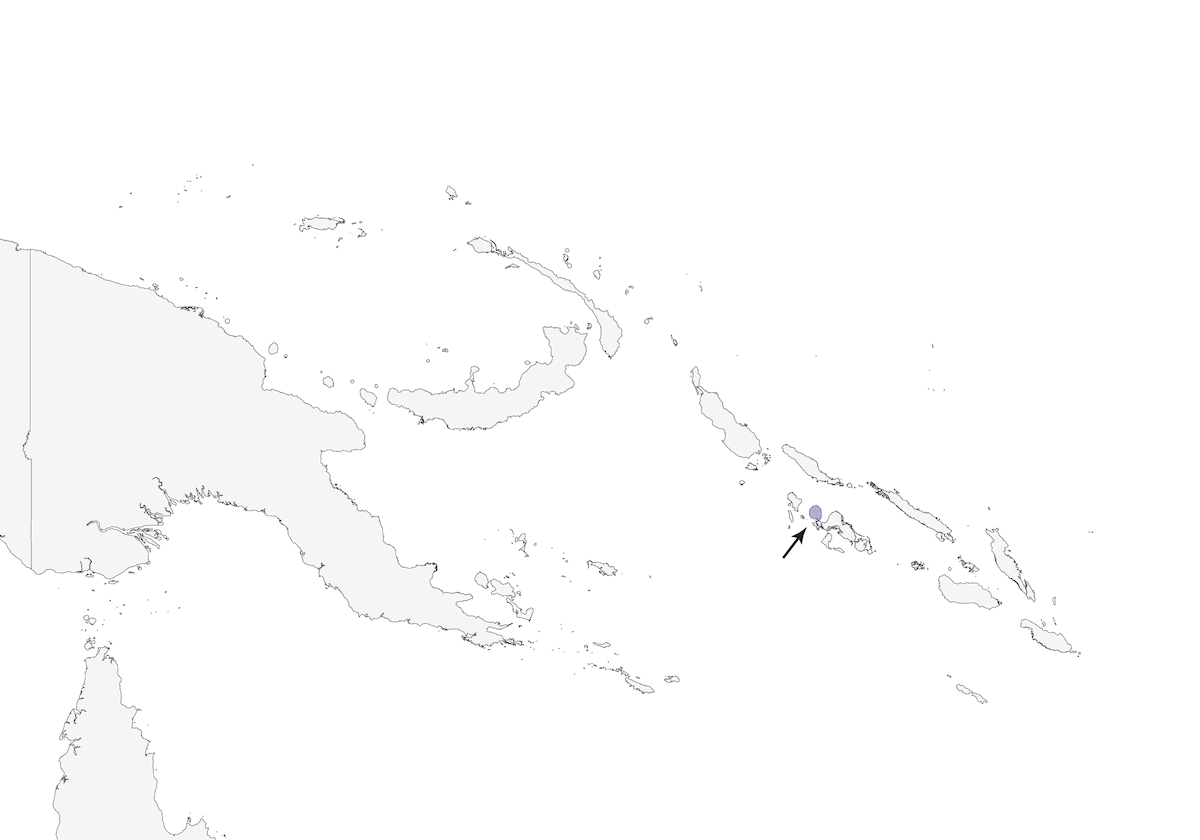 Zostérops de Kolombangara, Distribution 1