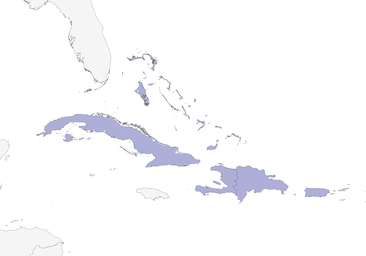 Tortora quaglia di Key West, Distribuzione 1