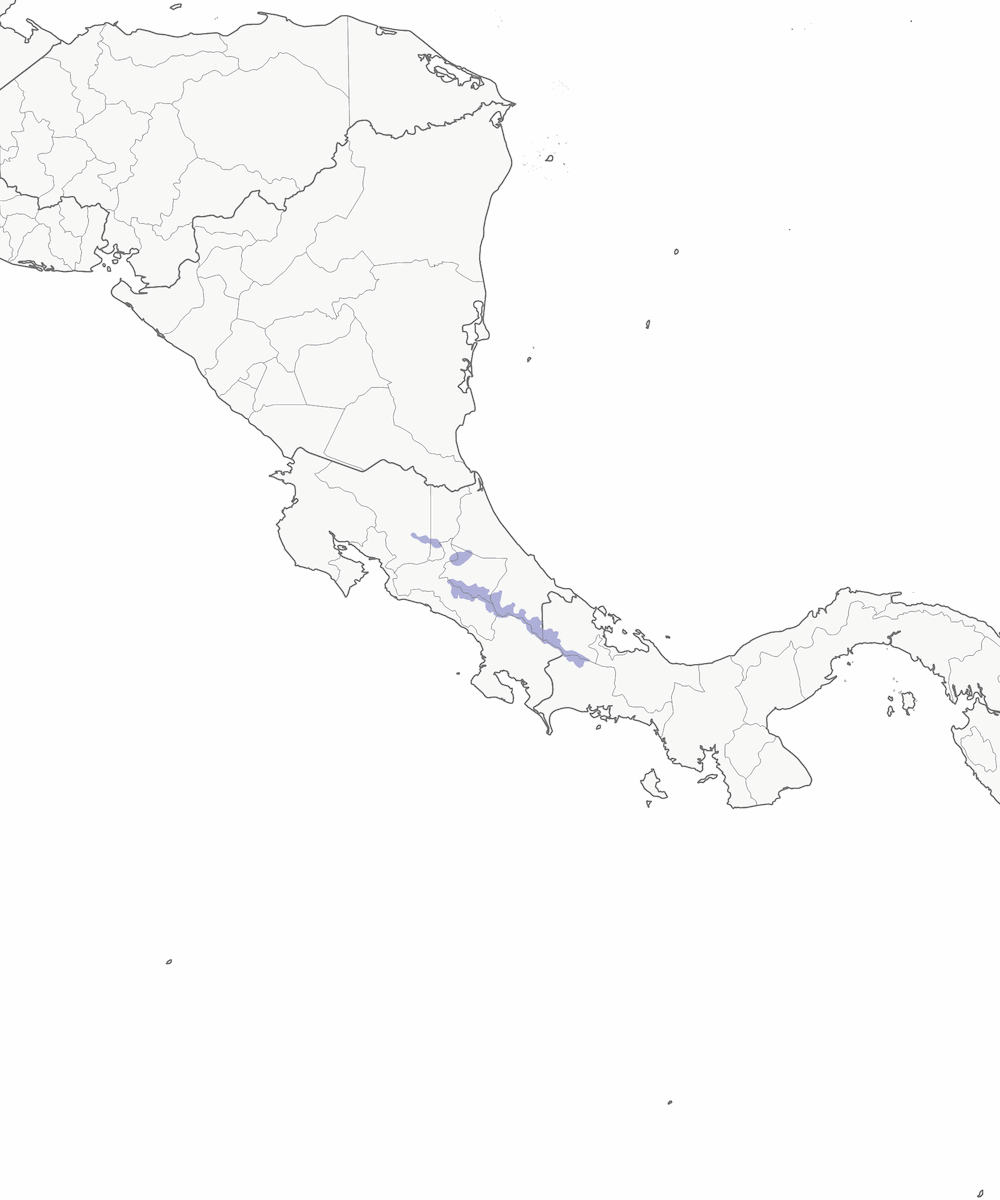Pinzón Patón, Distribución 1