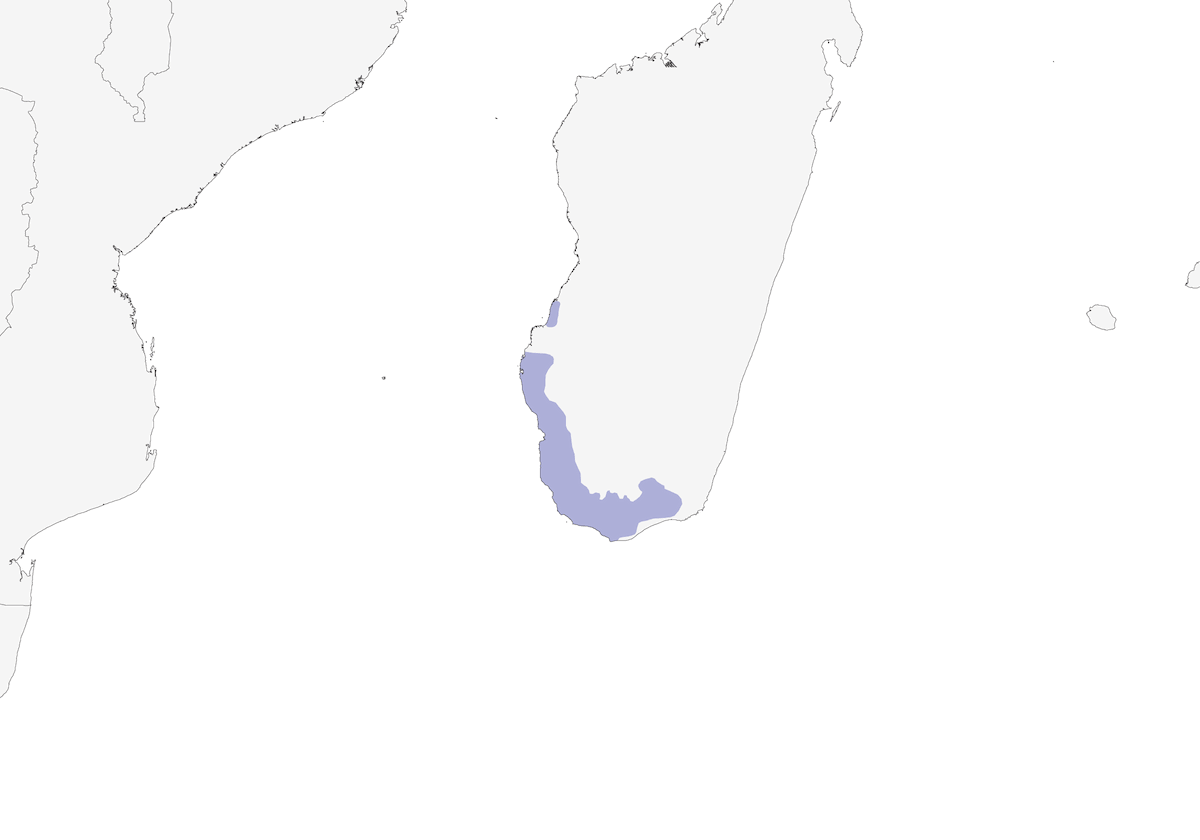 Lafresnaye's Vanga, Distribution 1