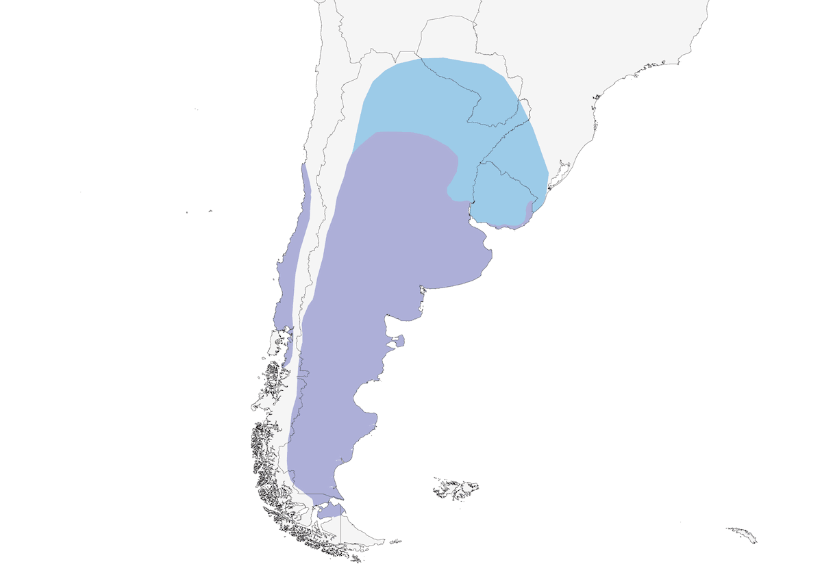 Gobbo della Patagonia, Distribuzione 1