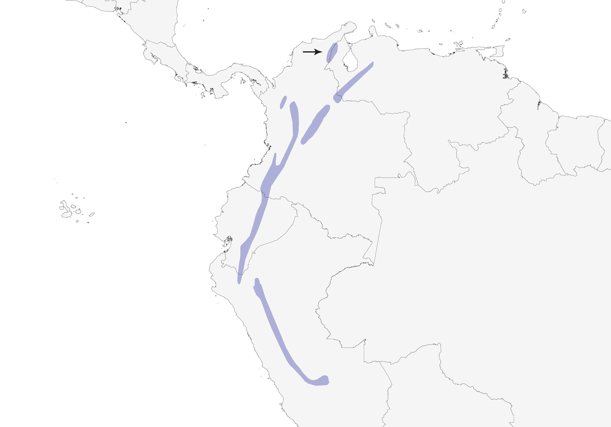 Lacrimose Mountain Tanager, 分布 1