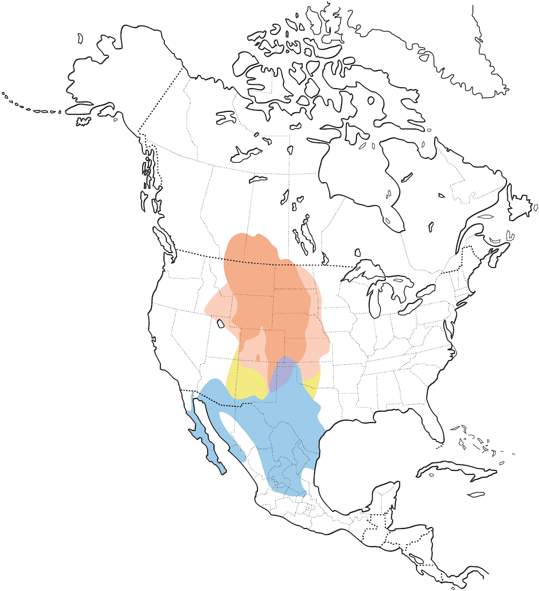 Zigolo allodola, Distribuzione 1
