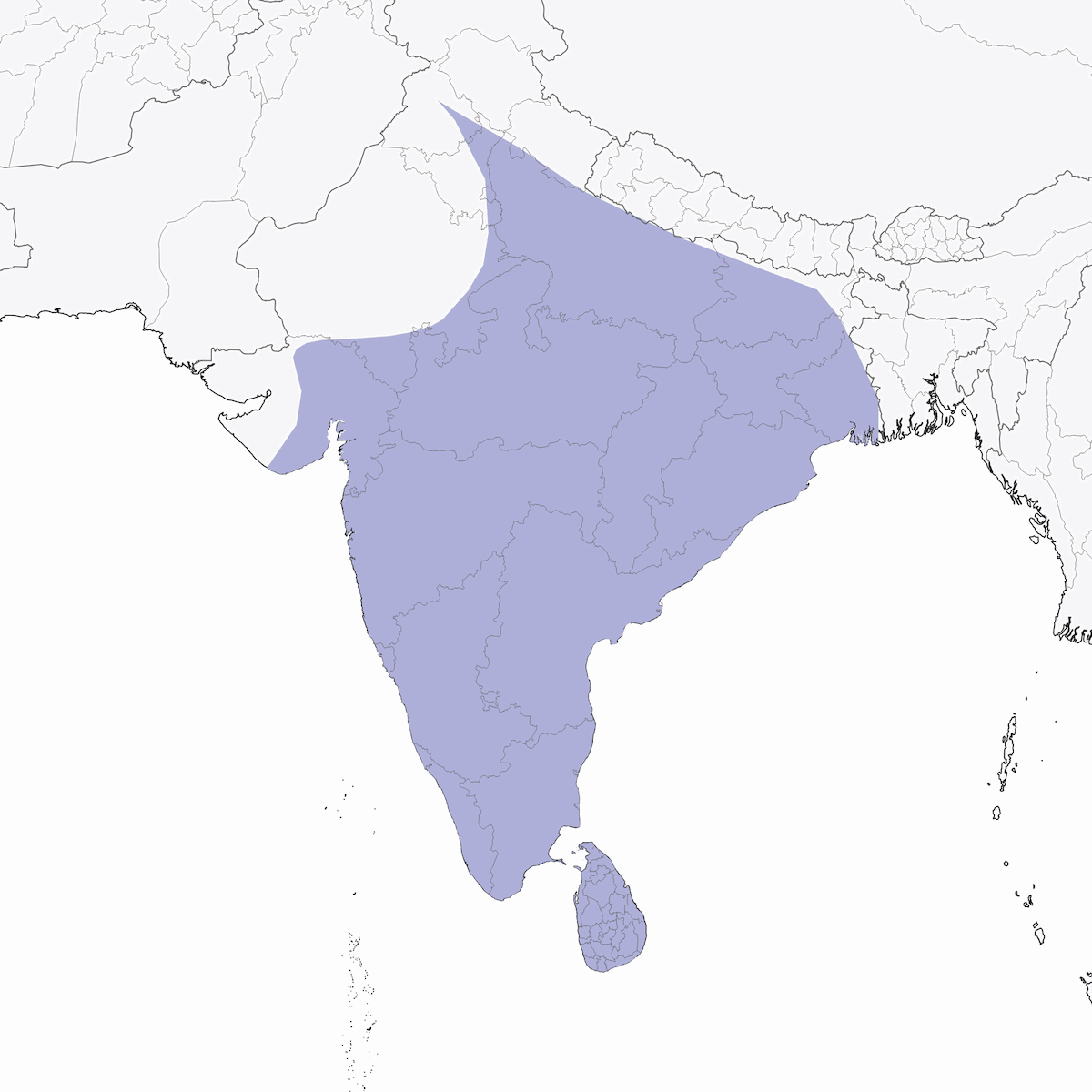 Indian Cuckooshrike, 分布 1