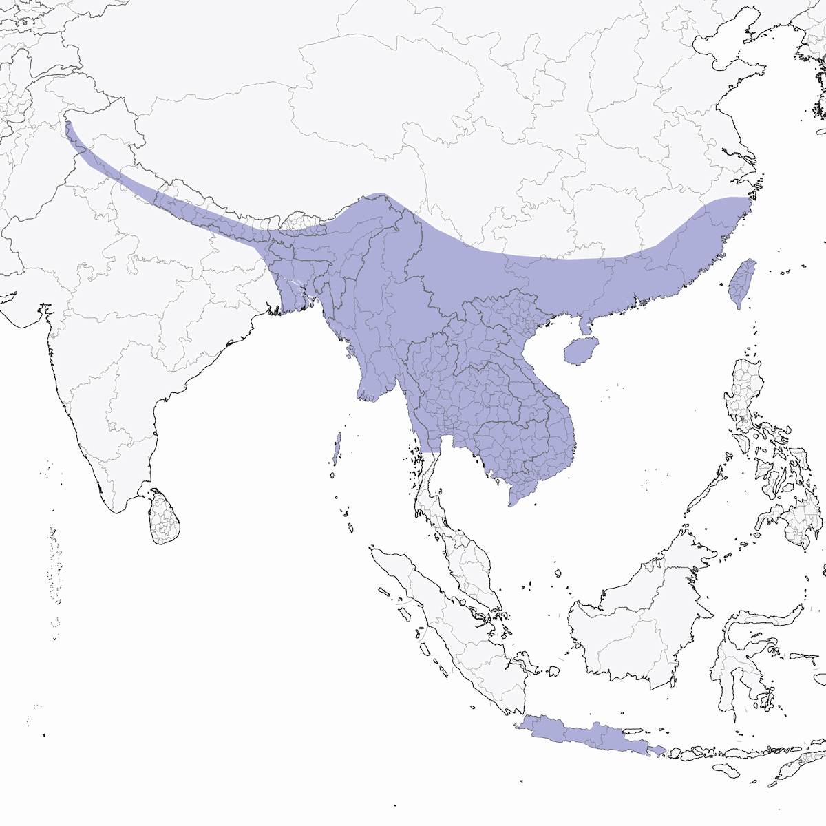 Oruguero oriental, Distribución 1