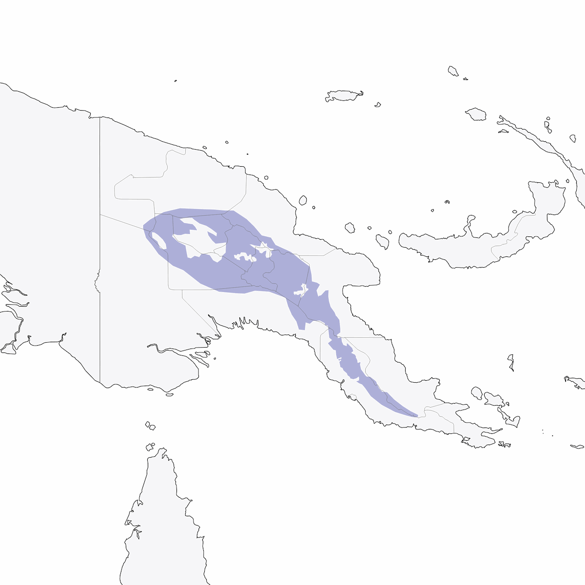 Lawes's Parotia, 分布 1