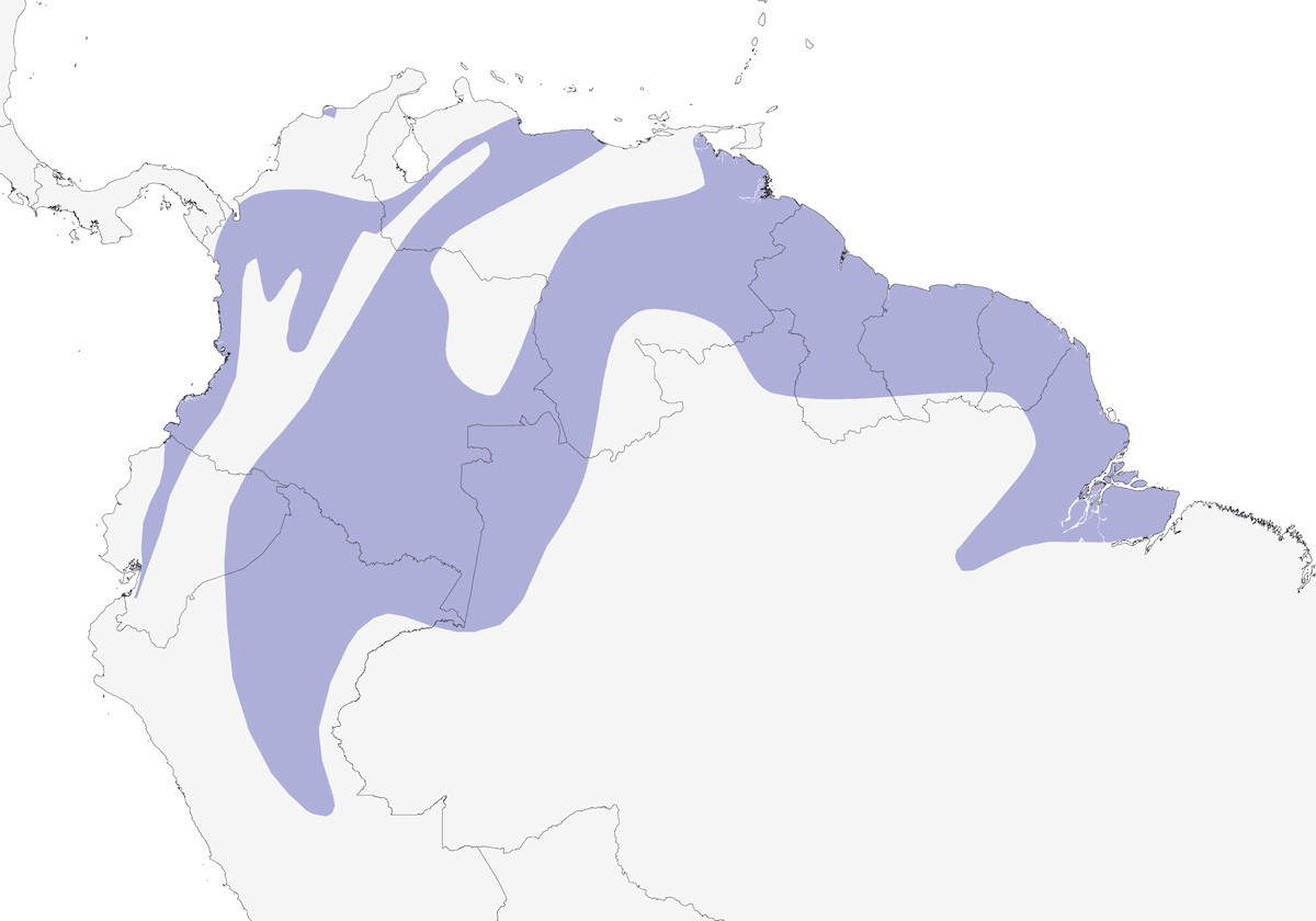 Sporofila beccogrosso, Distribuzione 1