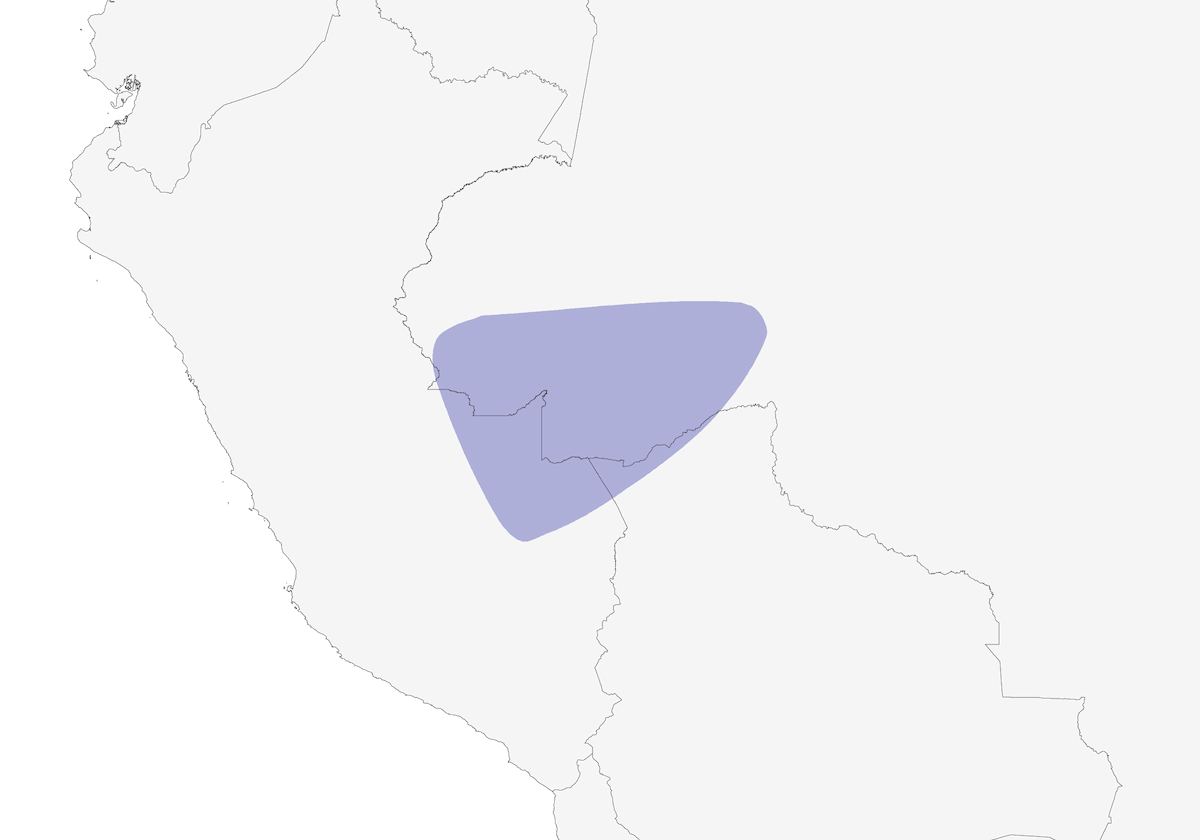 Long-crested Pygmy-Tyrant, Distribution 1