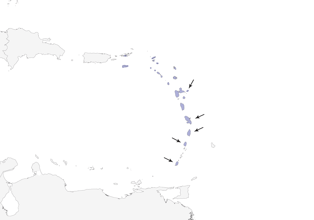 Pinzón Antillano Menor, Distribución 1