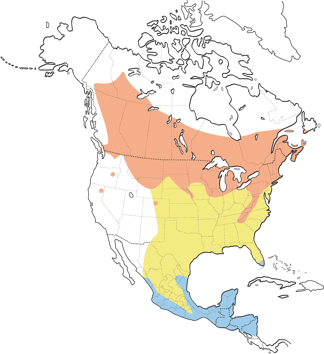 Mosquero mínimo, Distribución 1