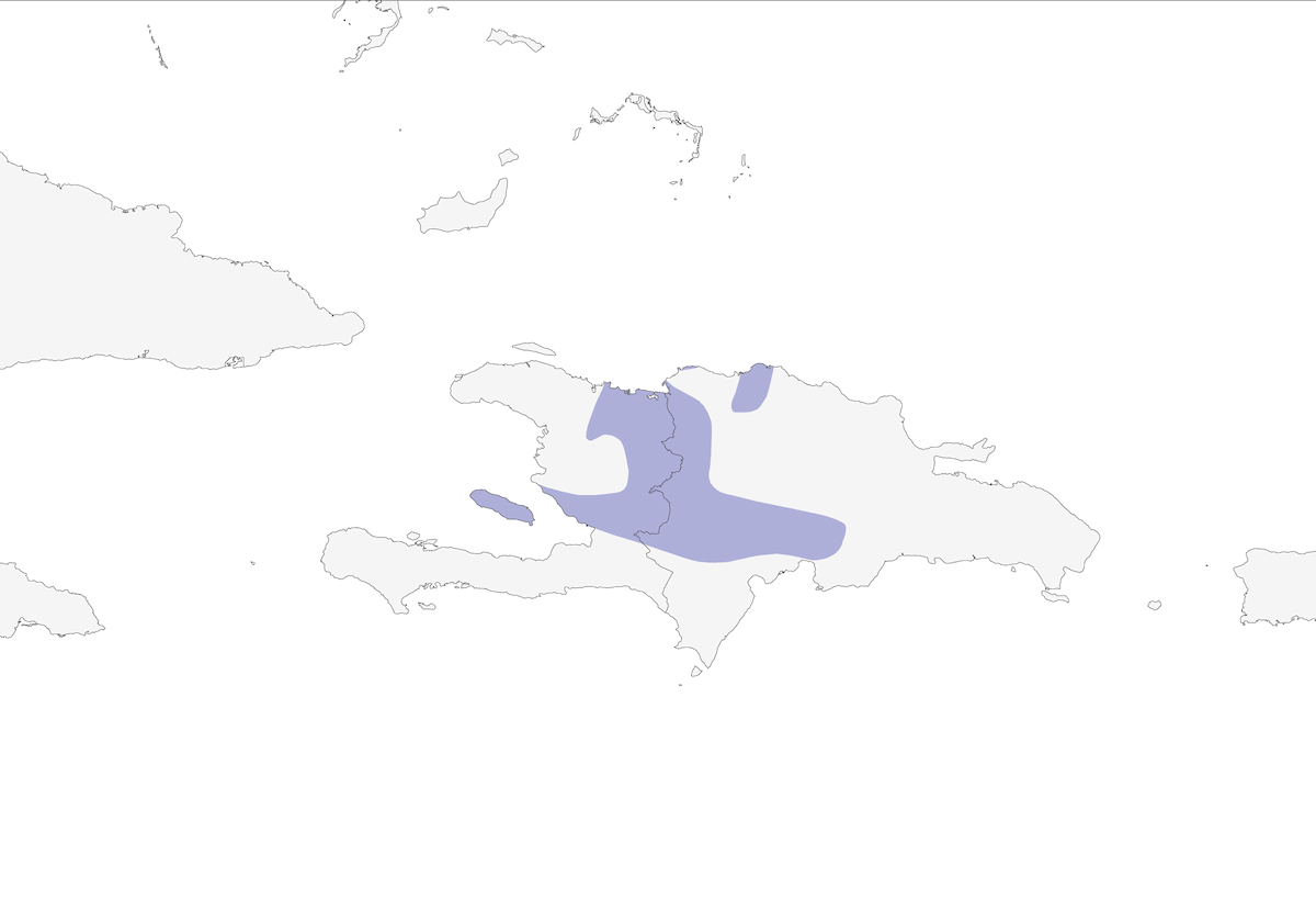 Least Pauraque, Distribution 1
