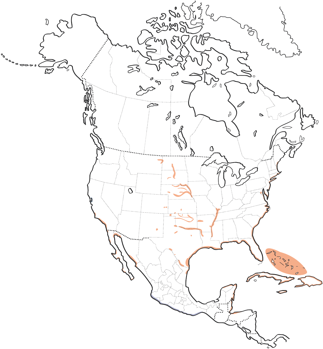 Charrancito menor, Distribución 1