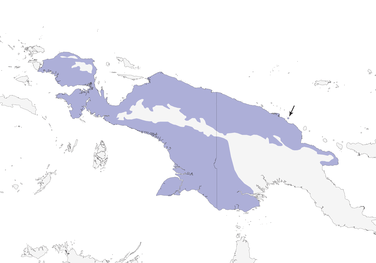 Cucal nero minore, Distribuzione 1