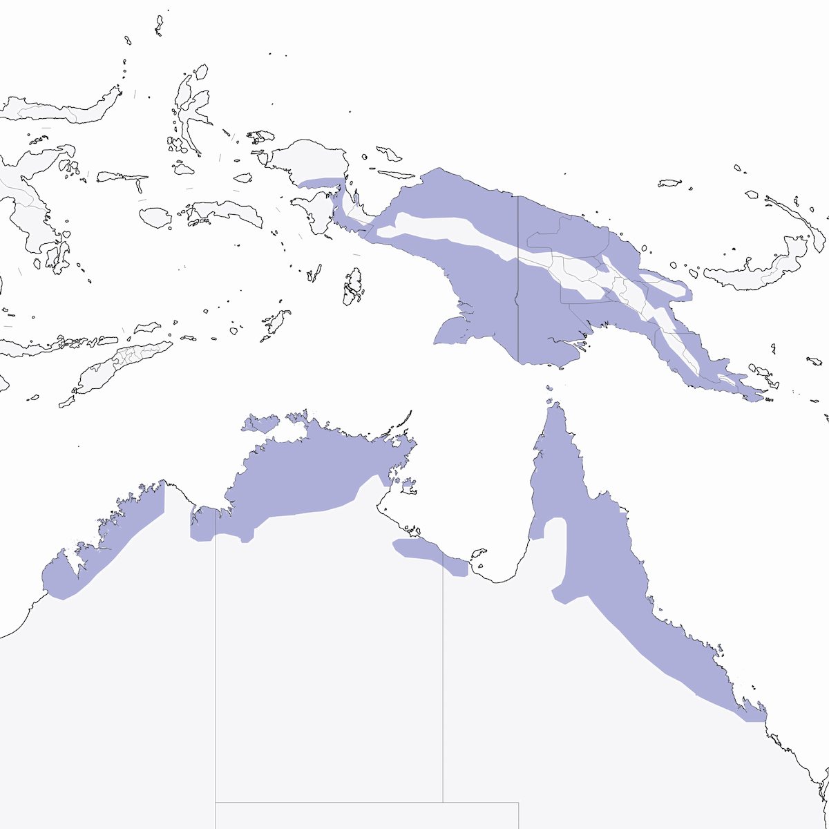 Robin pigliamosche ventregiallo, Distribuzione 1