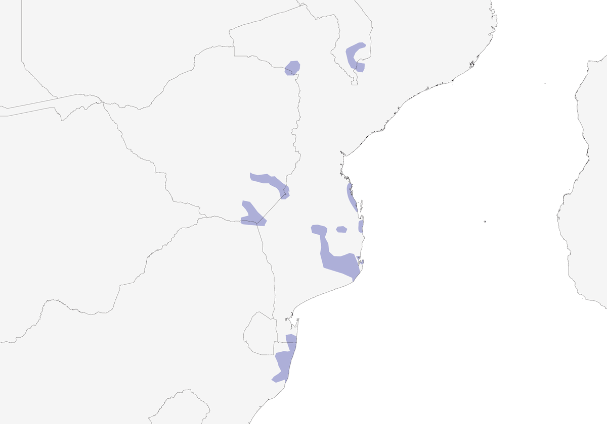 Lemon-breasted Seedeater, Distribution 1