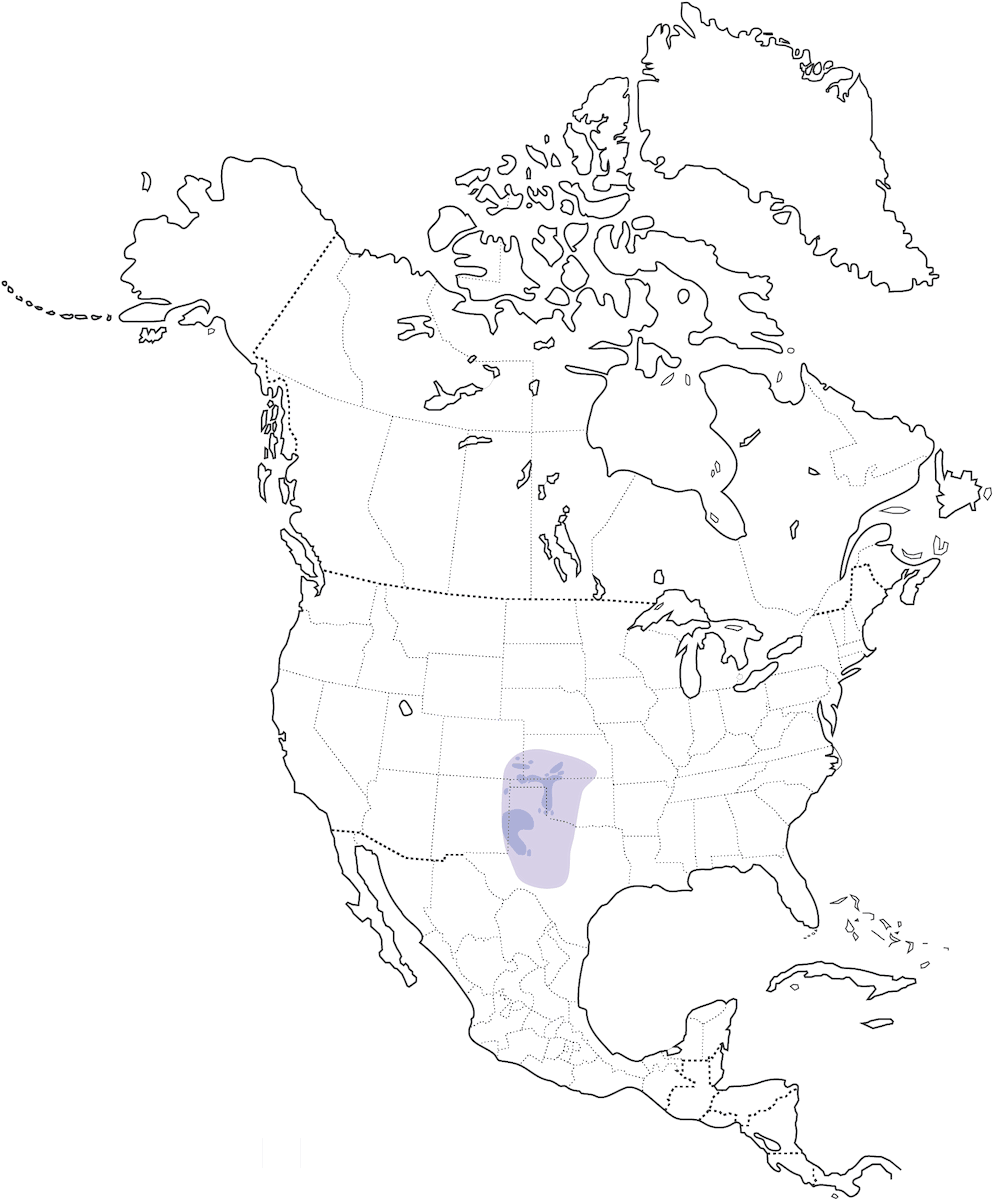 Lesser Prairie-Chicken, Distribution 1