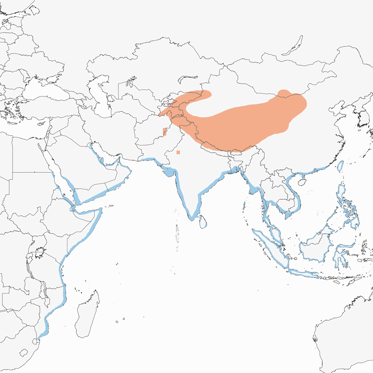 Pluvier du Tibet, Distribution 1
