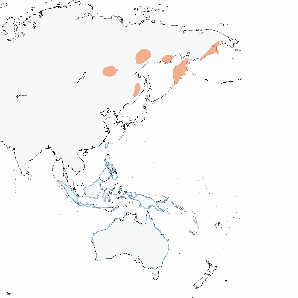 Corriere mongolo, Distribuzione 1
